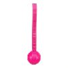 Játék Soft & Strong labda pánttal TPR, 27cm rózsaszín