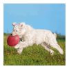 Gumi-Doggy-Disc-uszo-24cm-Jatek-Kutyanak-TRX33503