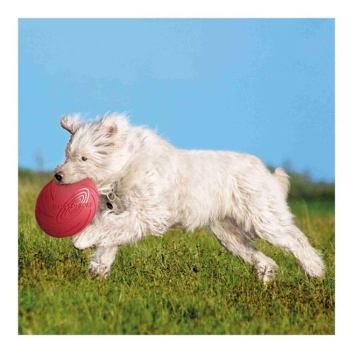 Gumi-Doggy-Disc-uszo-24cm-Jatek-Kutyanak-TRX33503