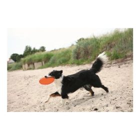 Dog-Disc-Hore-Lagyulo-18cm-Kutyanak-Jatek-TRX33505
