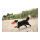 Dog-Disc-Hore-Lagyulo-18cm-Kutyanak-Jatek-TRX33505
