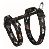 Ham-es-Poraz-Cica-Egermintas-21-34cm-1_2M-TRX4144