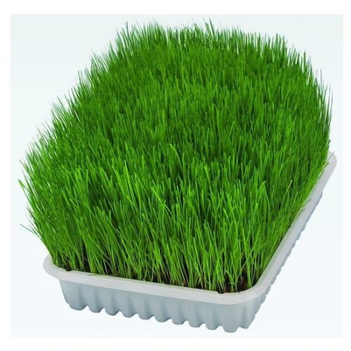 Macskafu-Kolyok-Macskanak-100gr-TRX4232