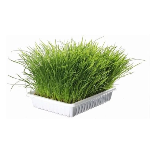 Macskafu-Kolyok-Macskanak-100gr-TRX4232