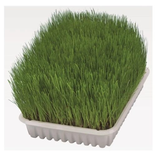 Macskafu-Kolyok-Macskanak-100gr-TRX4232