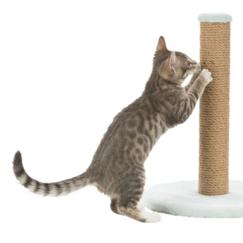 Trixie Kaparófa Kölyökmacskának 42cm Menta