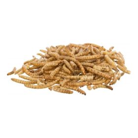   Trixie Jutalomfalat Rágcsálóknak, Szárított Lisztkukac, 200g