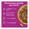 Whiskas Száraz  Csirke -Májas Falat 300g