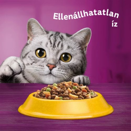 Whiskas Száraz  Csirke -Májas Falat 300g