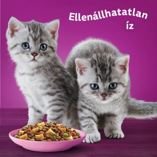 Whiskas-Junior-Csirke-14Kg-macskatap