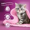 Whiskas-Junior-Csirke-14Kg-macskatap